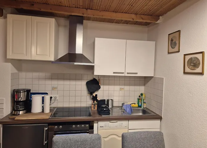 Saxonia Homedeluxe Neue Hochwertige Voll Ausgestattete Mit Kueche Xxl Boxspringerbett 2 Einzelbetten Highspeed Internetflatrate Und Balkon Ideal Fuer Familien Paare Kulturinteressierte Und Geschaeftsreisende Mit Mwst 公寓 *